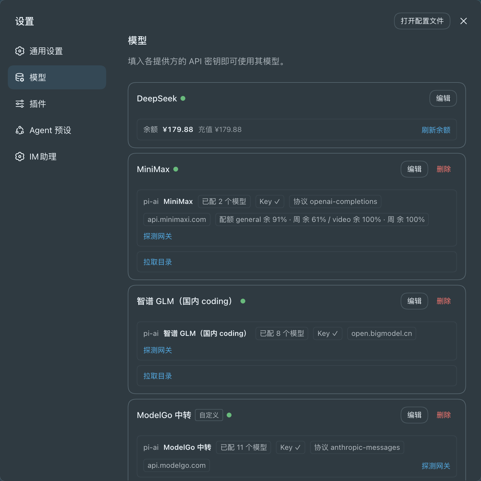 pi-ai 行:协议、接入地址、已配模型数、余额/配额,以及探测与目录拉取