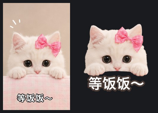 照片转贴纸前后对比